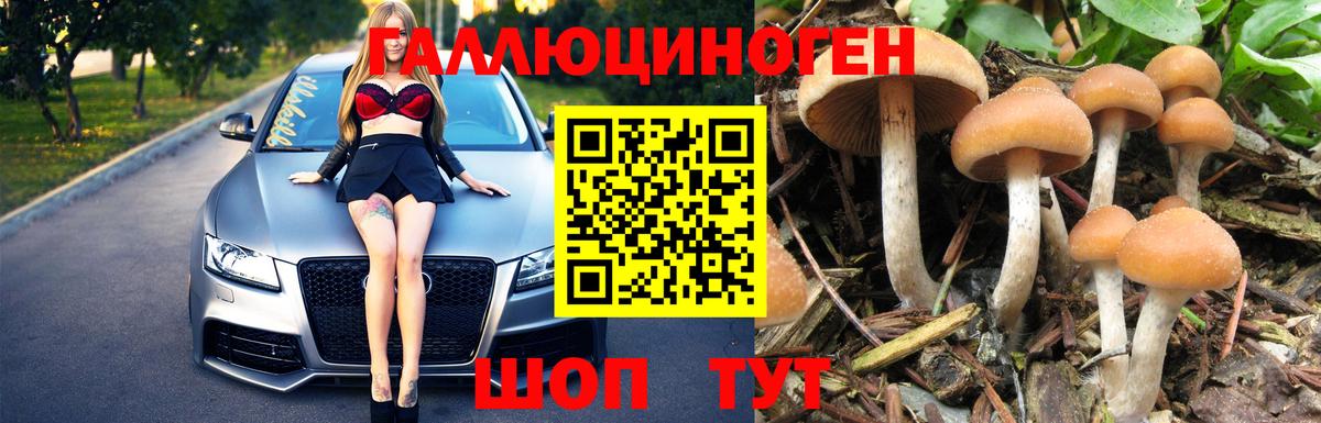 МЕТАДОН Белово