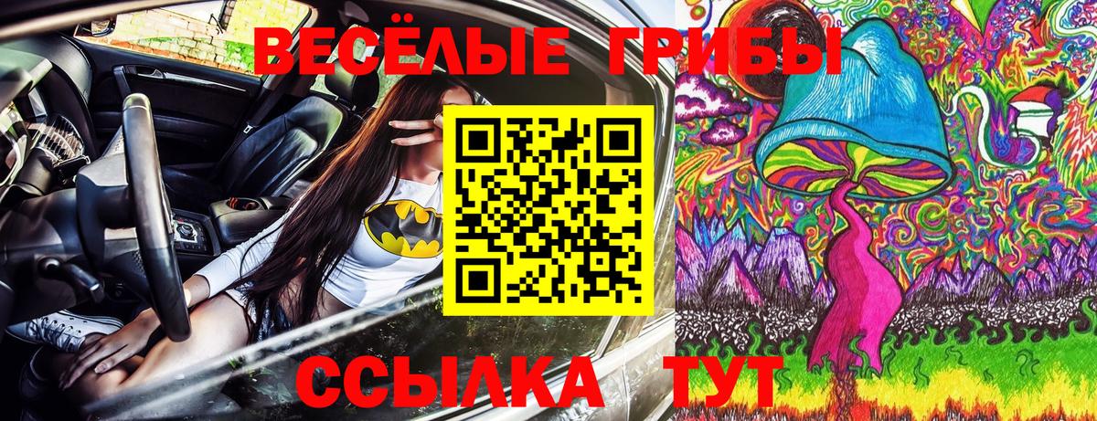 Белово  Псилоцибиновые грибы ЛСД  Вход с VPN 